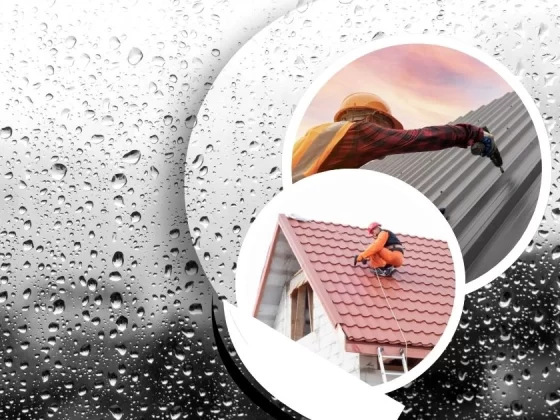 Rainwater Harvesting Cost: $100 to $15K. Save 50% Water Bill