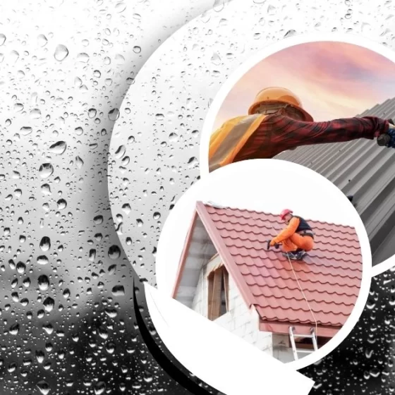 Rainwater Harvesting Cost: $100 to $15K. Save 50% Water Bill